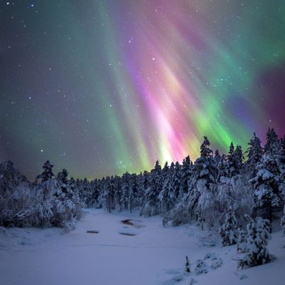 vinterlandskap